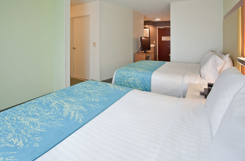 Springhill Suites By Marriott Houston Brookhollow Kültér fotó